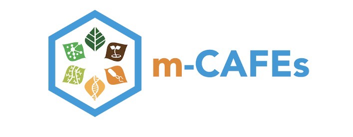 m-CAFEs